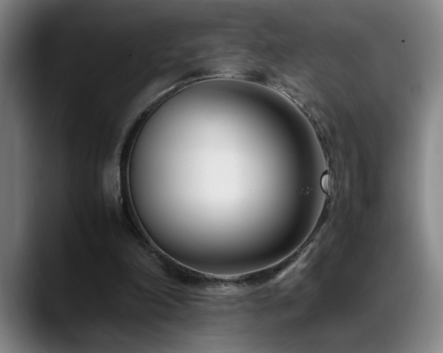 X0000089430198200706151315
