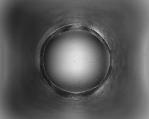 X0000089430199200706151315