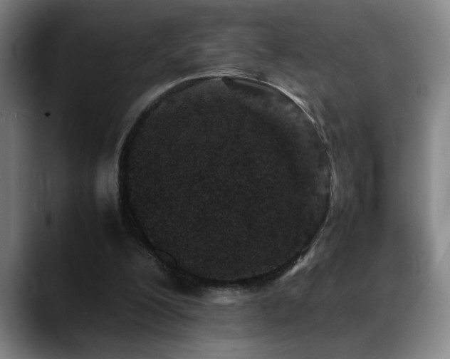 X0000089430200200706151315