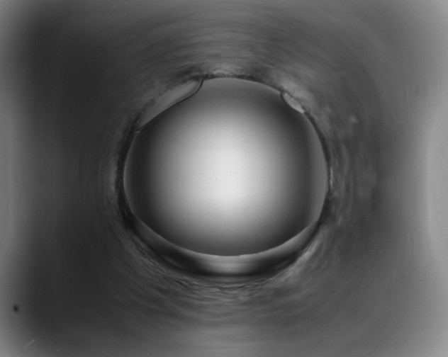X0000089430201200706151315