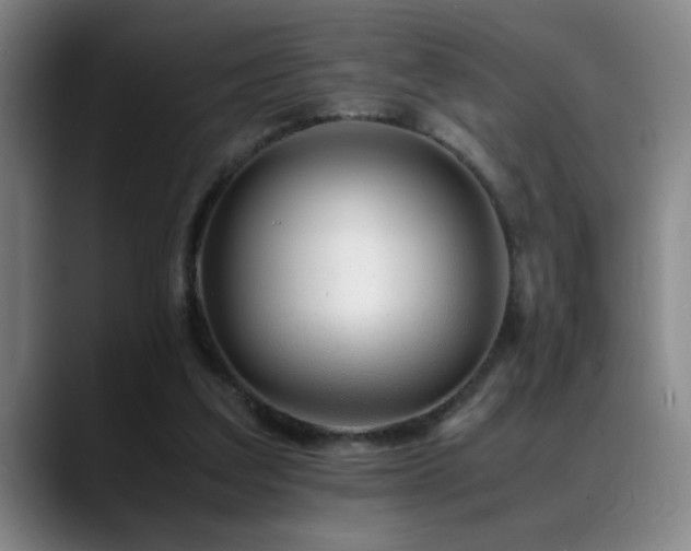X0000089430203200706151315