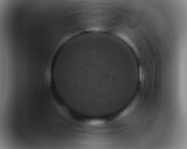 X0000089430204200706151315
