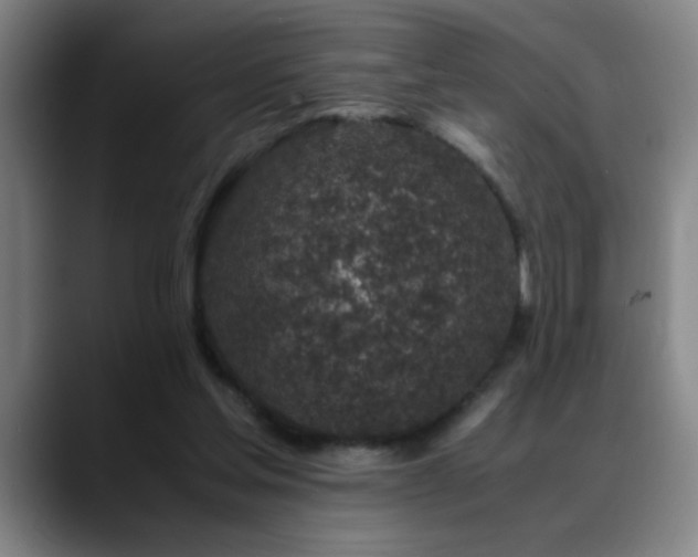 X0000089430205200706151315