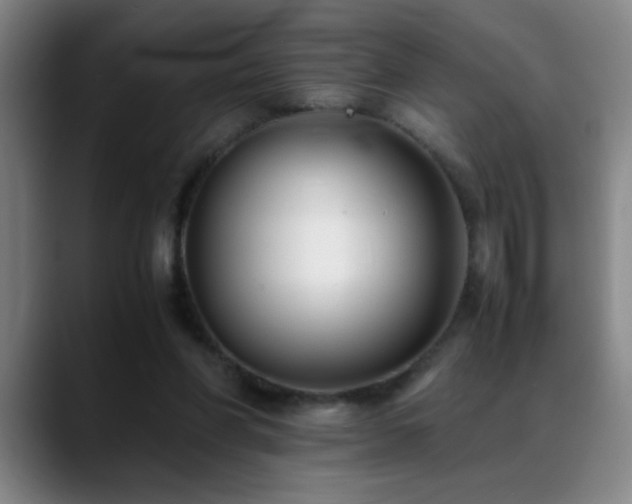 X0000089430206200706151315