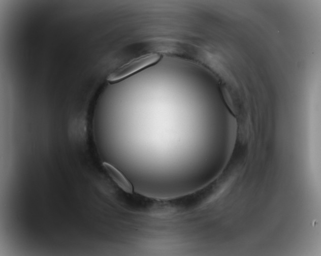 X0000089430207200706151315