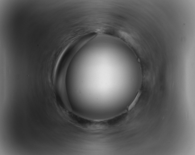 X0000089430209200706151315