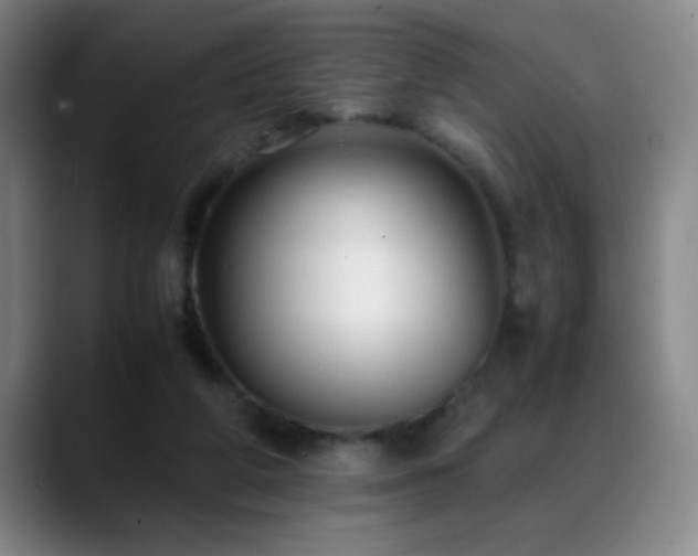 X0000089430210200706151315