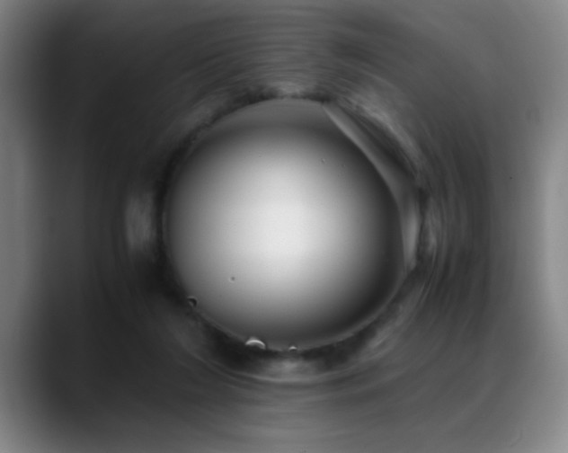 X0000089430212200706151315