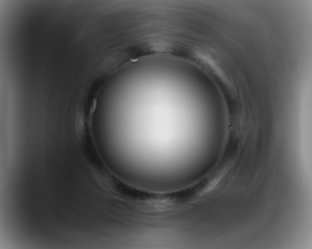 X0000089430213200706151315