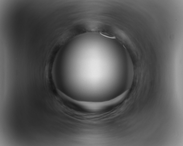 X0000089430217200706151314