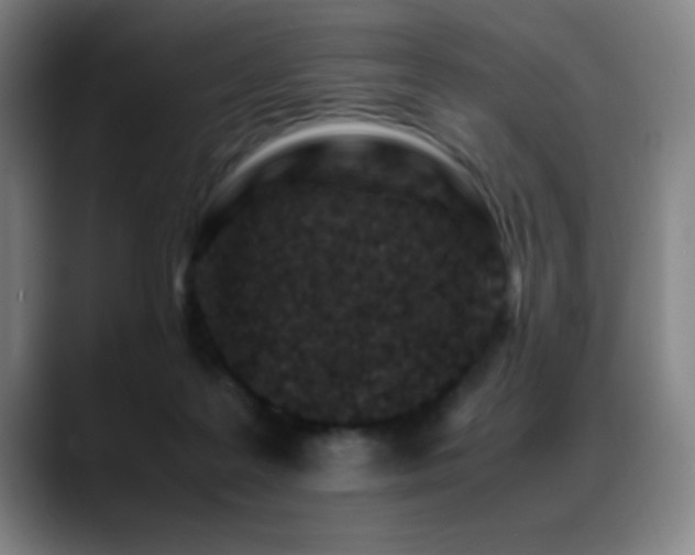 X0000089430219200706151314