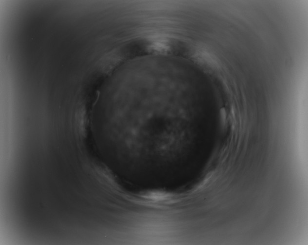 X0000089430223200706151314