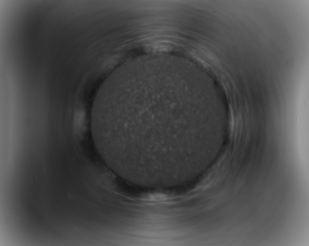 X0000089430224200706151314