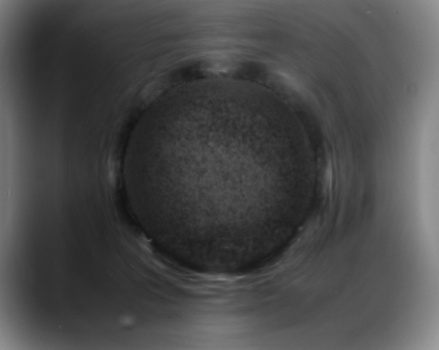 X0000089430227200706151314