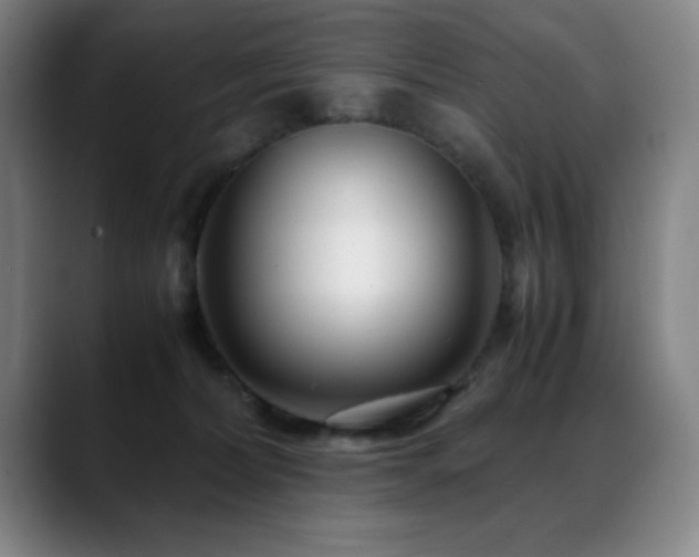 X0000089430228200706151314
