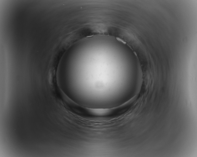 X0000089430229200706151314