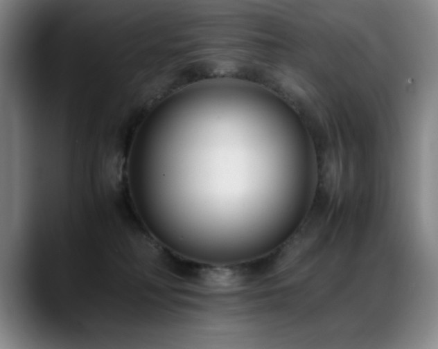 X0000089430230200706151314