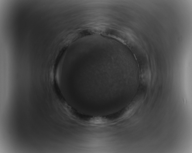 X0000089430231200706151314