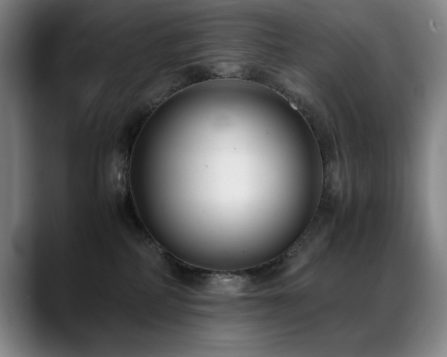 X0000089430234200706151314