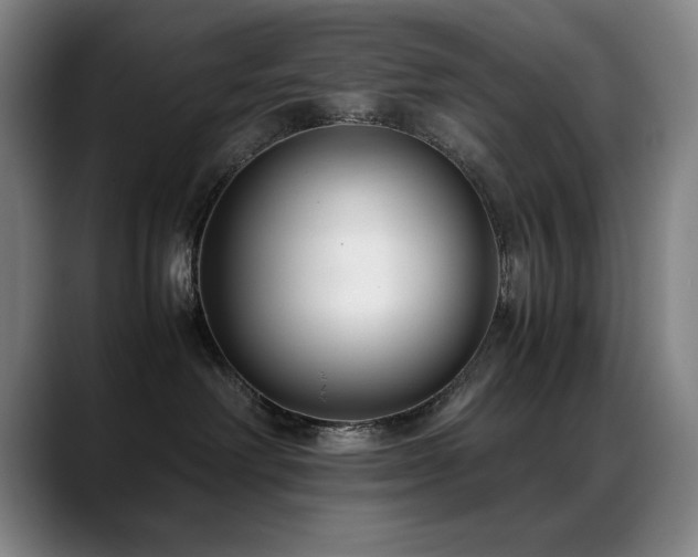 X0000089430238200706151314