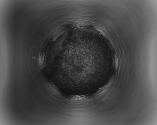X0000089430239200706151314