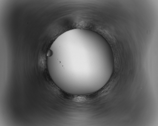 X0000089430240200706151314