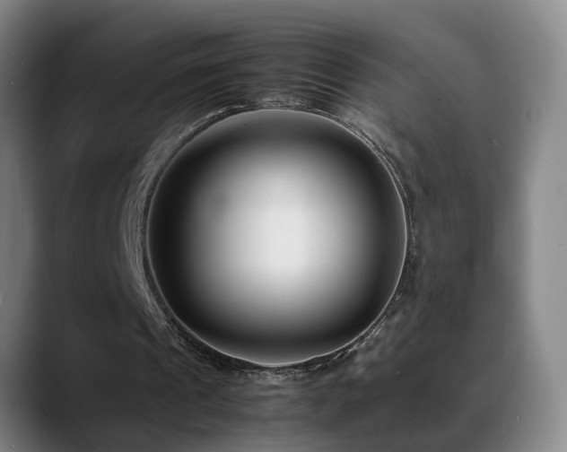 X0000089430241200706151314