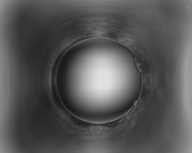 X0000089430242200706151314