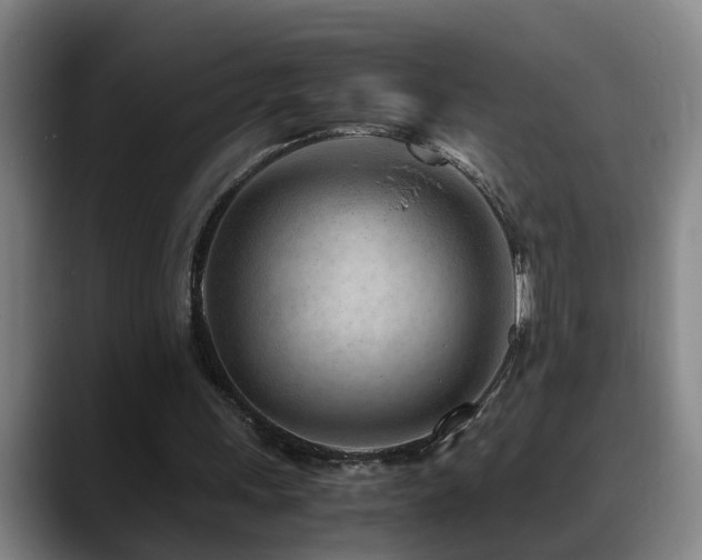 X0000089430243200706151314