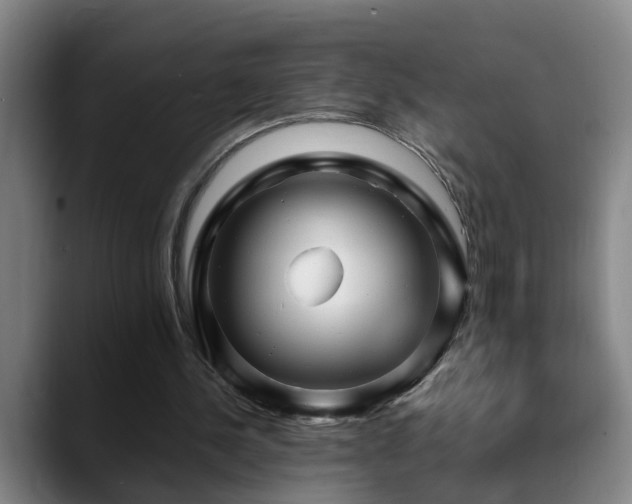 X0000089430244200706151314