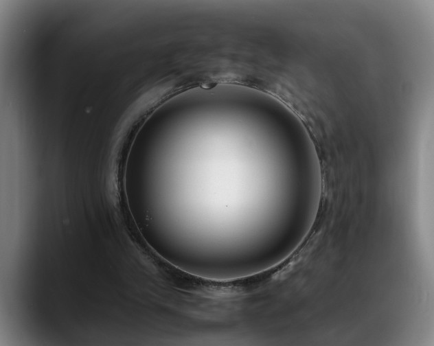 X0000089430245200706151314