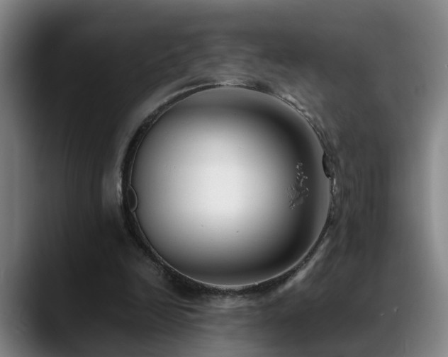 X0000089430246200706151314