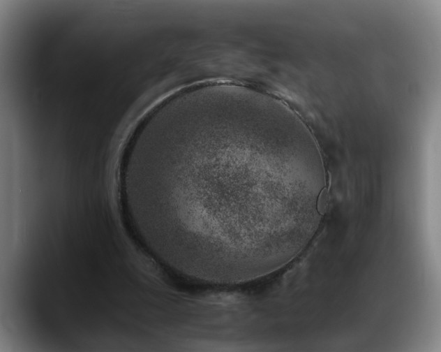 X0000089430247200706151314