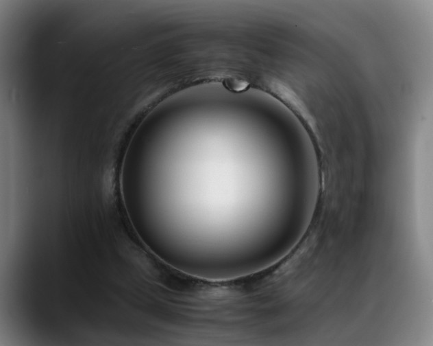 X0000089430249200706151314
