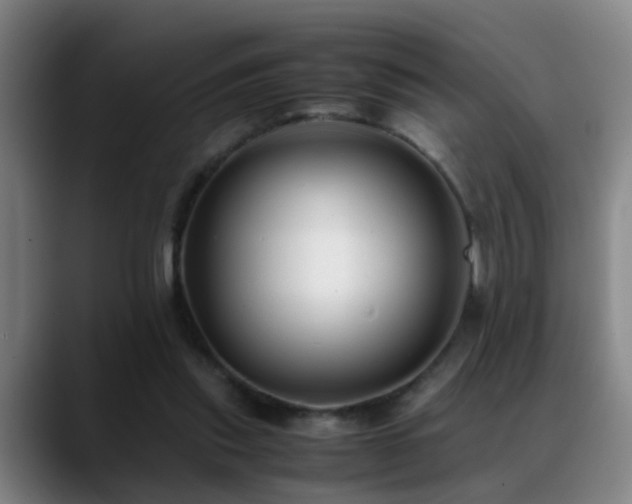 X0000089430253200706151314