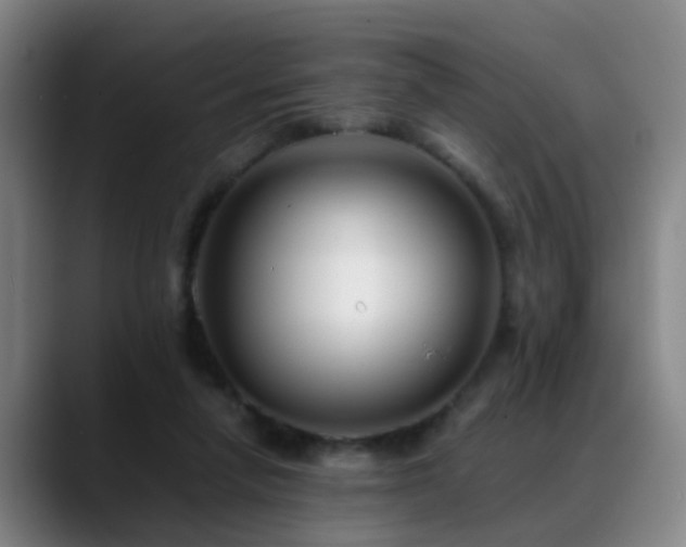 X0000089430258200706151314