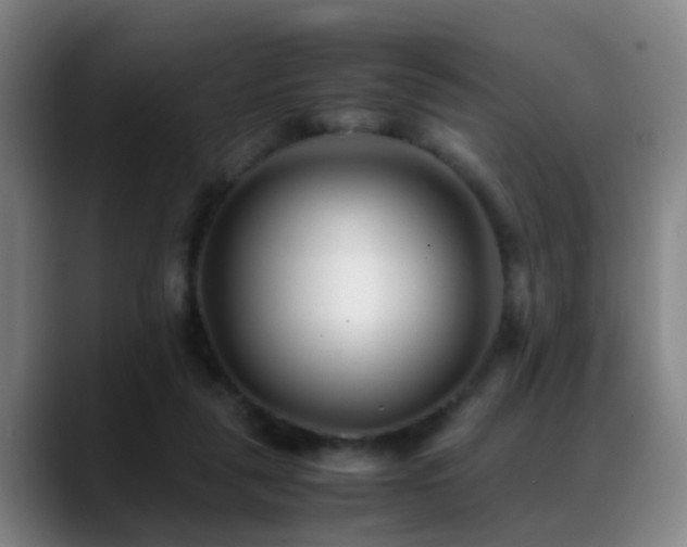 X0000089430259200706151314