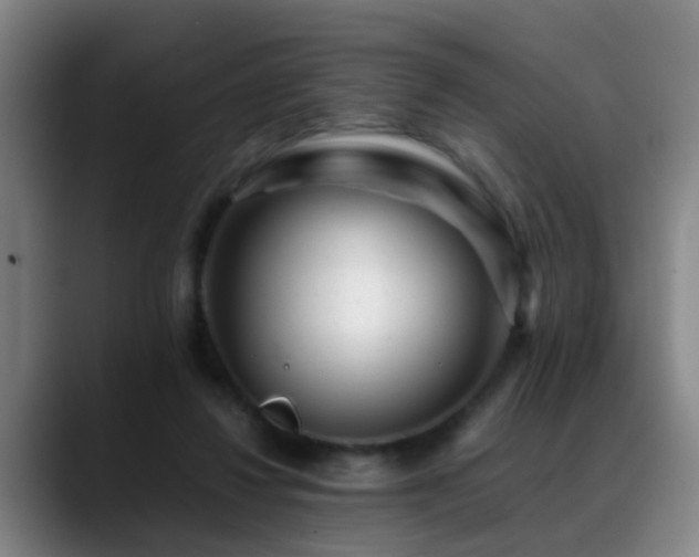 X0000089430260200706151314