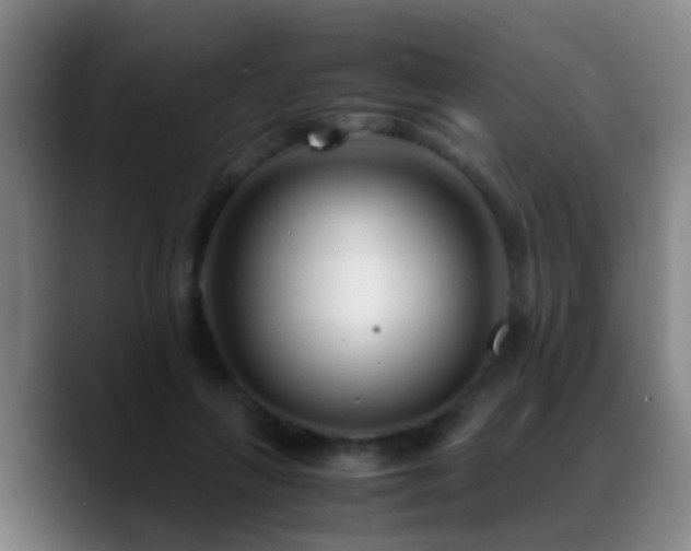 X0000089430263200706151314