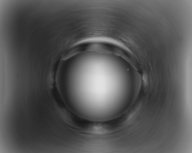 X0000089430264200706151314