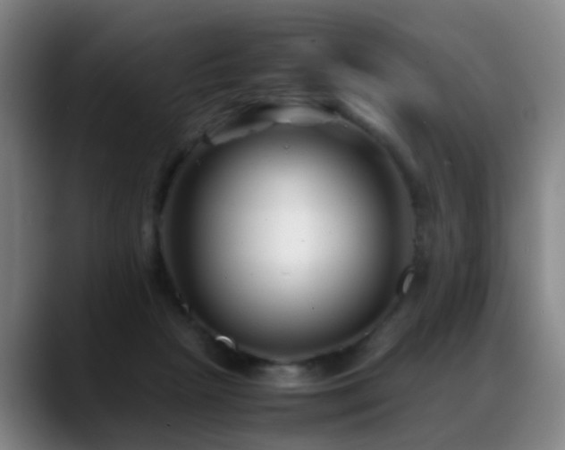 X0000089430265200706151314