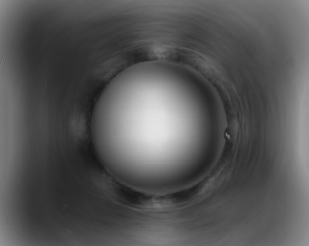 X0000089430270200706151314