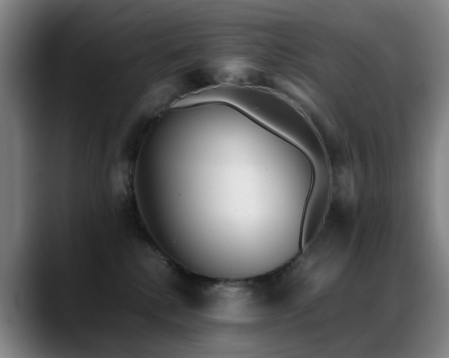 X0000089430280200706151314
