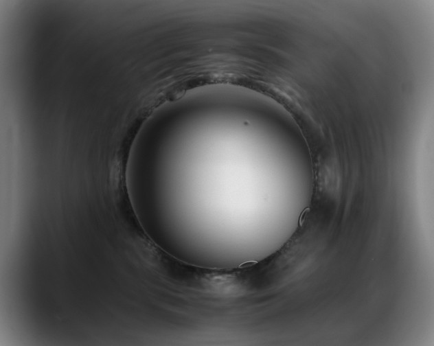 X0000089430283200706151314