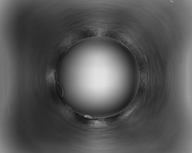 X0000089430286200706151314