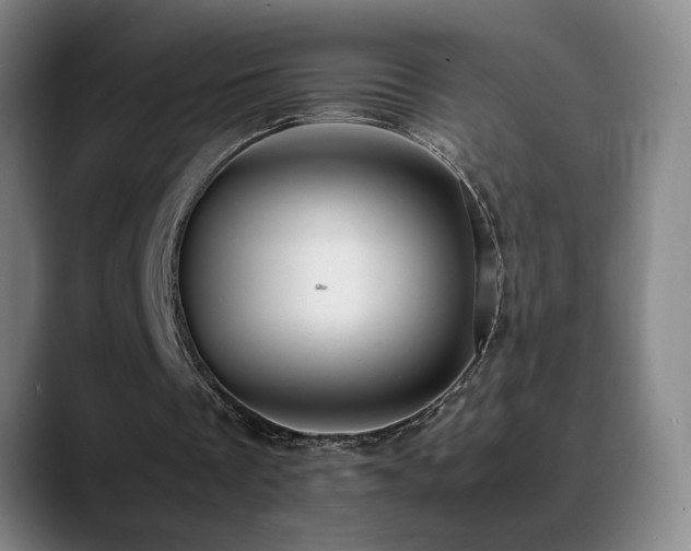 X0000089430289200706151314