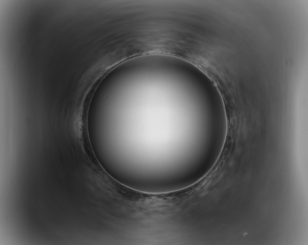X0000089430290200706151314