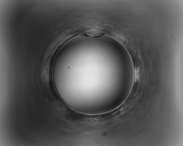 X0000089430291200706151314