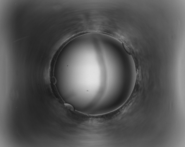 X0000089430292200706151314