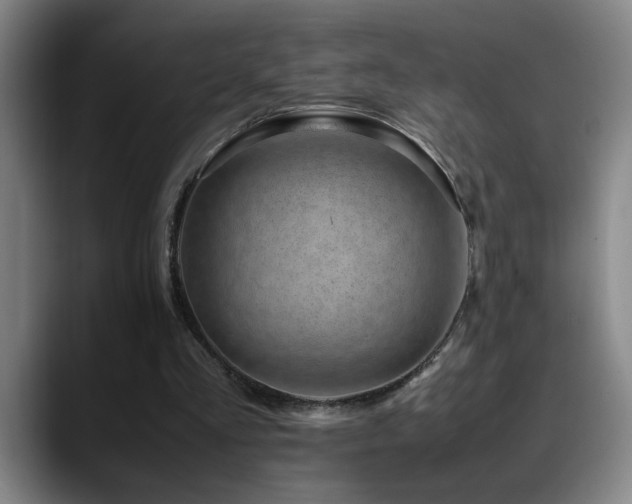 X0000089430293200706151314
